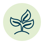 Donor-Advised Funds